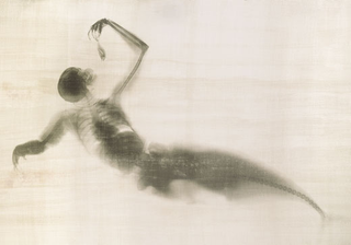 Illustration for article titled Hybrid X-ray images of bird people and octopus women